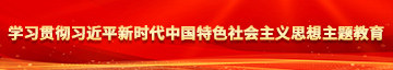 免费看操逼洞穴学习贯彻习近平新时代中国特色社会主义思想主题教育